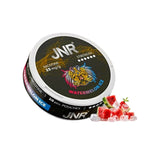 JNR Nicotine Pouches 25mg